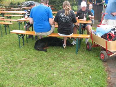 Teilnehmer auf vier Pfoten